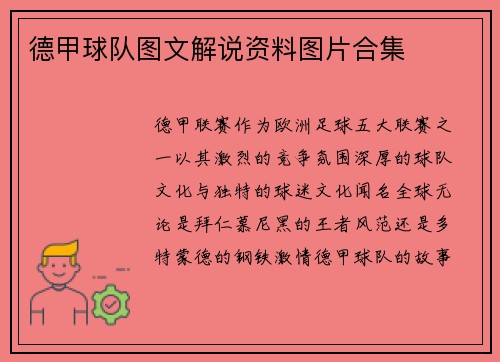 德甲球队图文解说资料图片合集