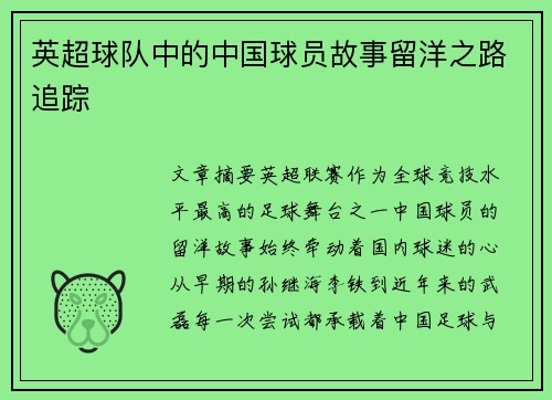 英超球队中的中国球员故事留洋之路追踪